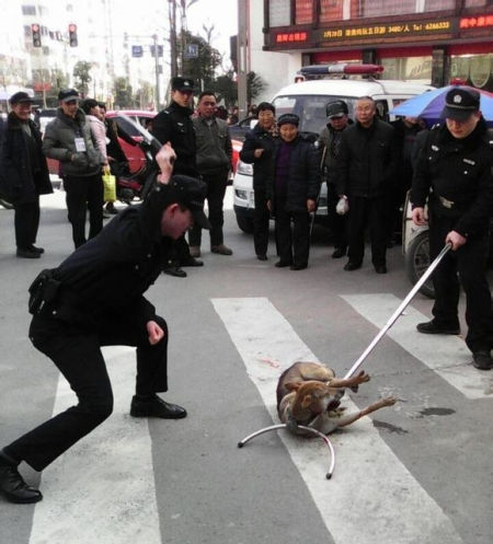 �ӳ����ó�һ���ֲ棬������ֻ���˹����á� �ӳ����ó�һ���ֲ棬������ֻ���˹����á�