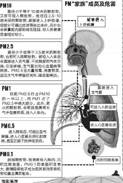 pm�����塱��ա��σ�� pm�����塱��ա��σ��